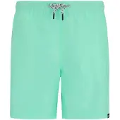 Regatta Mackeyna Swimming Shorts Vert S Homme