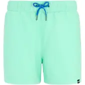 Regatta Short De Bain Mawson Iii