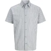 Jack & Jones Chemise 'JJCHAD' bleu marine / blanc