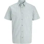 Jack & Jones Chemise à Manches Courtes Chad Oxford Stripe