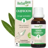 Herbalgem - Olivier Bio - Complément Alimentaire - Extrait De Bourgeon Frais - Pour Circulation Sanguine - 30 ml 30 ml Goutte(S)