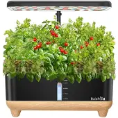 Rainpoint Hydroponic Growing Kit