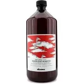 Davines Naturaltech Energizing shampoing qui stimule la pousse des cheveux 1000 ml
