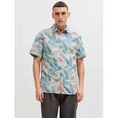 Jack & Jones Chemise bleu clair / marron / gris clair / vert pastel