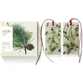 Pure Living Douglas Pine - Scented Wax Tablets 2x