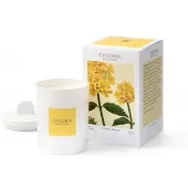 Pure Living Theorie Botanique Candle 50 hours - ODERANT VERVAIN