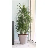 Riviera Pot de Plante Circulaire en Plastique Riviera Brun Taupe Ø 50 cm
