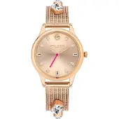 Daisy Dixon Dd105rgm Woman Watch Doré Femme