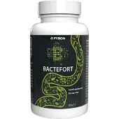 Fyron Group B.V. Bactefort - 60 gélules