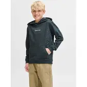 Jack & Jones Junior Sweat vert foncé / blanc