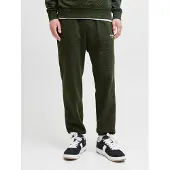 Jack & Jones Kane Soho Sweat Pants Vert S Homme