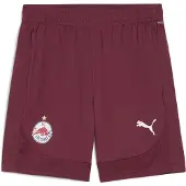 Puma Hommes, Bas de sport, Short d'entraînement RBS (XS), Rouge