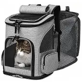 OEM Cages en treillis aéré pour petits chiens