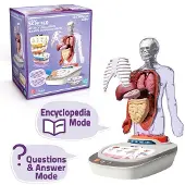 Canal Toys Human Body Voicepedia Rose Enfants