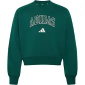 Adidas Sweat de sport 'Seasonals Collegiate Typography V-neck Junior' vert / blanc