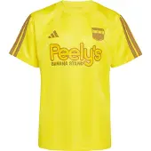 Adidas T-Shirt fonctionnel 'x Fortnite Peely' marron / jaune / miel