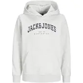 Jack & Jones Junior Sweat 'JJECaleb' gris clair / noir / blanc