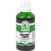 Hecht Pharma GmbH Geschäftsbereich Handelsware St. Severin Engelwurz, gouttes, 50 ml