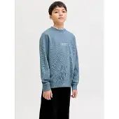 Jack & Jones Soho Sweatshirt Bleu 10 Years Garçon