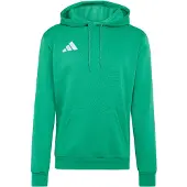 Adidas Entrada 26 Hoodie Vert L / Regular Homme