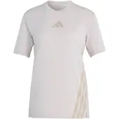 Adidas Terrex Xperior Climacool+ Short Sleeve T-shirt Blanc S Femme