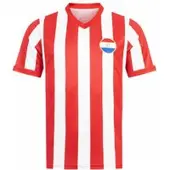 JELEX Paraguay "Retro History" Hommes Maillot