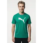 Puma T-Shirt fonctionnel 'TeamRise' vert / blanc