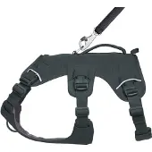 Ruffwear Web Master Dog Harness Noir XS