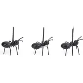 Kikkerland Fourmis