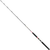 Daiwa Canne à pêche à la traîne Megaforce Ar argent 1.70 m / 30-50 Lbs argent 1.70 m