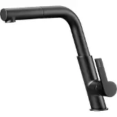 Deante Kitchen faucet with pull-out spout