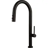 Deante Kitchen faucet with pull-out spout - 2 types of spray