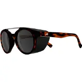 Alpina Lunettes de soleil Glace
