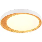 TRIO Reality Leuchten Plafonnier ALETA DH 45x8 cm or Lampe de plafond