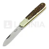Otter Couteau pliant Small buckhorn knife