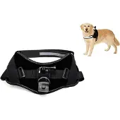 ACTIVEON Gilet pour chien ACM09DV 360 Dog Vest pour caméra d'action