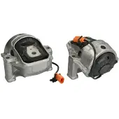 Delphi Support, moteur TEM269