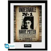 Harry Potter Noname Harry Potter - Collector Print 30x40 - Undesirable No1