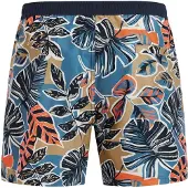 Protest Rayger Swimming Shorts Bleu L Homme