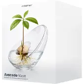 Mikamax - Avocado Vase