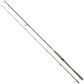 Daiwa Saltist Ags Iii Spinning Rod Noir 2.90 m / 14-56 g