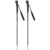 Rossignol Ft-500 Poles Argenté 145 cm