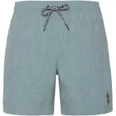 Protest Davey Swimming Shorts Bleu XS Homme