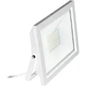Eglo Spot LED PRO, 20W, 4000K, blanc, 1 pièce.
