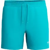 Speedo Short de bain pour hommes ESSENTIALS WATERSHORT, 41 cm,