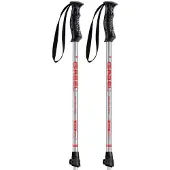 Gabel R Fast Junior Poles Argenté 65-105 cm Garçon
