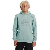 Quiksilver Comp Logo Hoodie Vert 14 Years Garçon