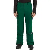 O'Neill Fwc Peak Cargo Pants Vert M Homme