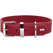 Hunter Collier Aalborg Special (Chien, Promenade)