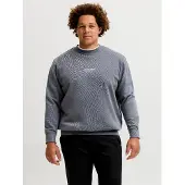 Jack & Jones Soho Plus Size Sweatshirt Gris 4XL / Regular Homme